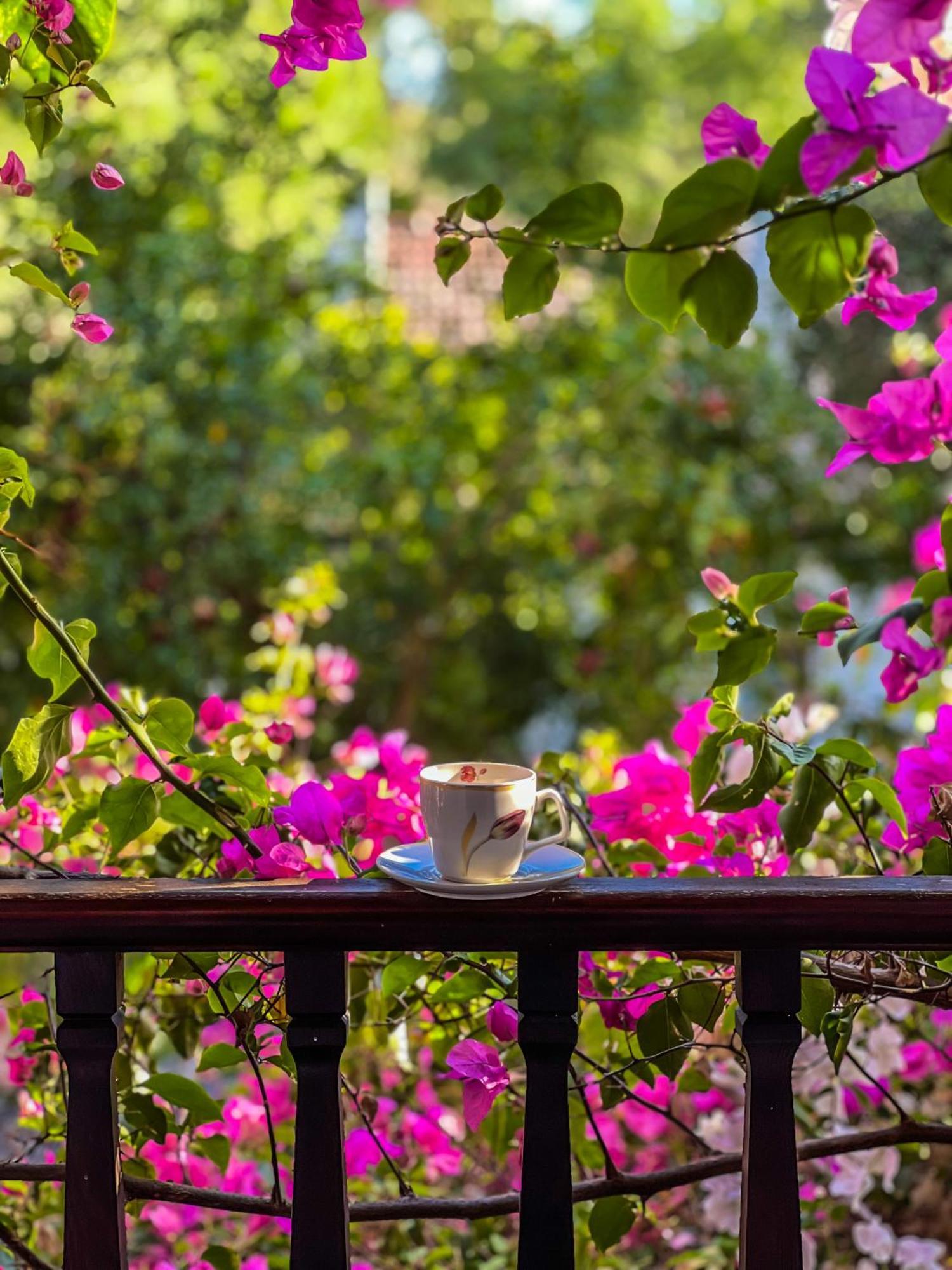 Liya Boutique Hotel & Suites Акьяка Экстерьер фото