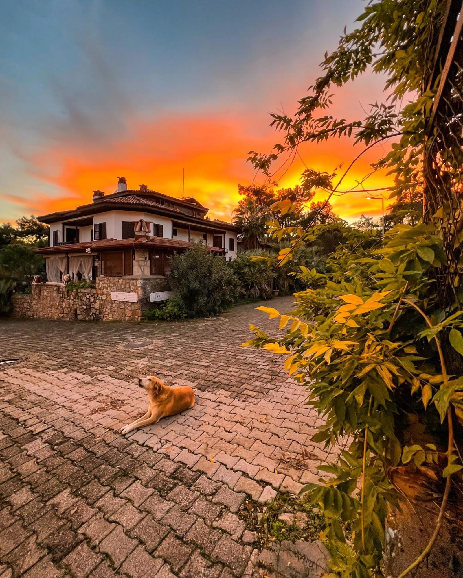 Liya Boutique Hotel & Suites Акьяка Экстерьер фото